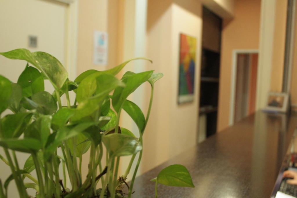 Hostal Baires Barcelona Eksteriør bilde